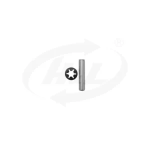 Piston Set For QL 1900